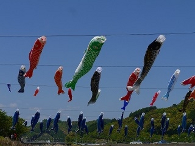 高知県・四万十市・中村・四万十川・こいのぼり_四万十川