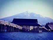 メイさんの鶴の舞橋の投稿写真2