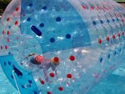 ryu-さんのドルフィンエンカウンター ルネッサンス リゾート オキナワの投稿写真3