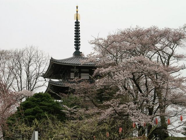 ふるさと村_安達ヶ原ふるさと村