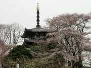 okeiさんの安達ヶ原ふるさと村の投稿写真1