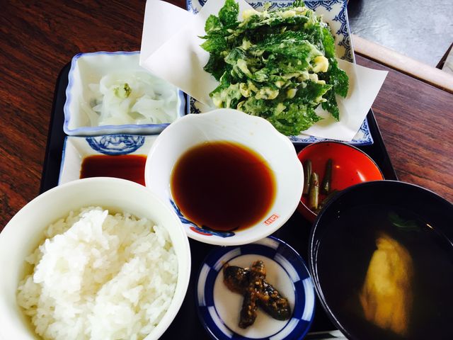 明日葉とイカそうめんの定食_一峰