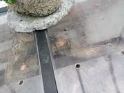 江戸家化猫さんの生態系公園・観賞温室(秋田県農業研修センター)の投稿写真4