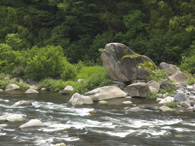 結構大きい蛙岩です!_木曽川 蛙岩