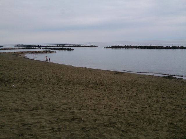 関屋浜海水浴場_関屋浜海水浴場
