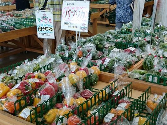 店内1_すかなごっそ