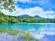 風来坊さんの阿寒湖の投稿写真1