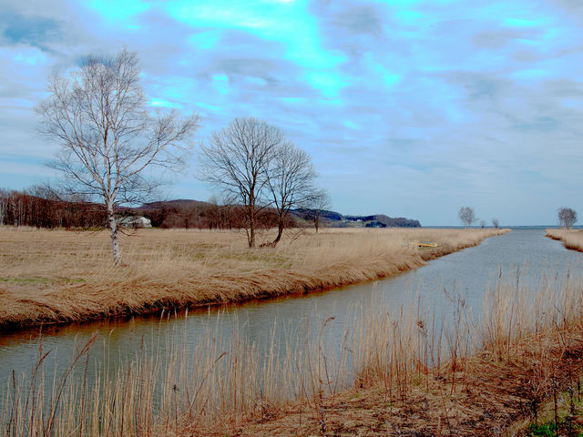 藍郷さんの計呂地サンゴ草群生地の投稿写真2