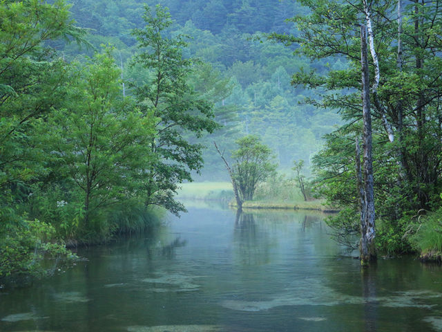 早朝の田代池_田代池