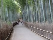華さんの大河内山荘庭園の投稿写真1