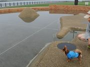 どらごんごんさんの天塩川河川公園の投稿写真1