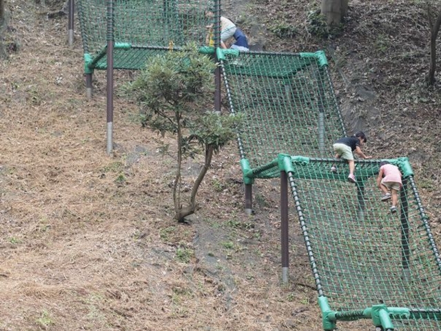 ここを登るか、横の階段を登るか。_あつぎこどもの森公園