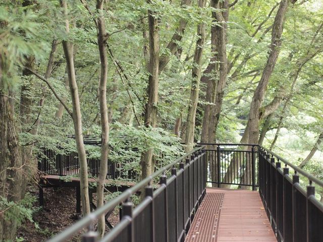 回廊_あつぎこどもの森公園