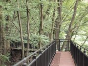 よっぴいさんのあつぎこどもの森公園の投稿写真3