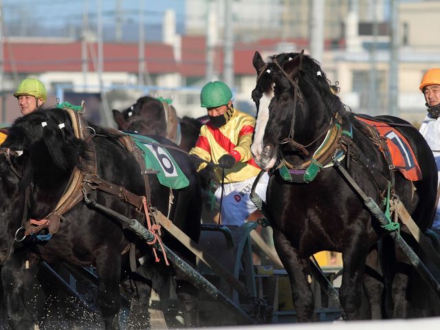 ばんえい競馬_帯広競馬場(ばんえい十勝)