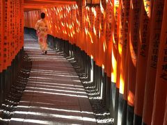 yusamiraさんの国産レンタル着物 和香菜への投稿写真1