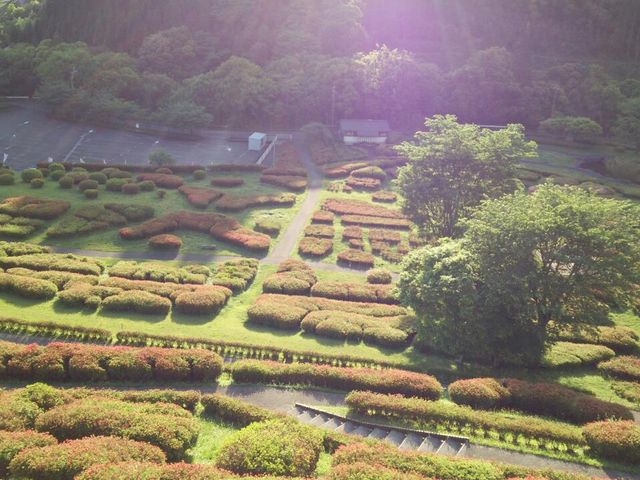 展望台からのながめは清々しく綺麗でした
来年こそ満開のときにみてみたいです_椎八重公園のツツジ