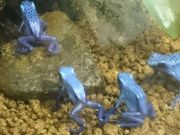 リコさんのあわしまマリンパークの投稿写真1