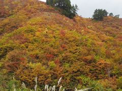 eriさんの白山白川郷ホワイトロードへの投稿写真1