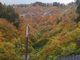 eriさんの白山白川郷ホワイトロードへの投稿写真2