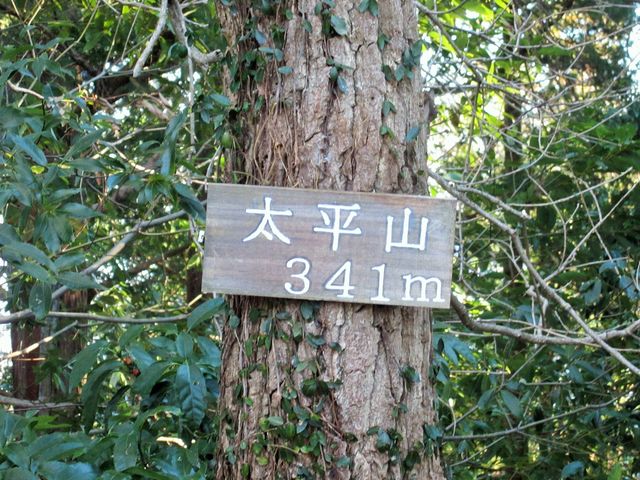 山頂_太平山