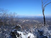 ミナさんの太平山の投稿写真2
