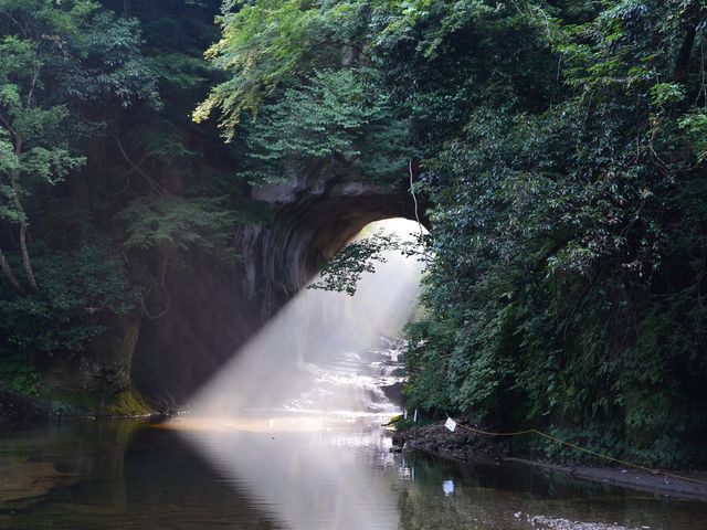 濃溝の滝2_濃溝の滝