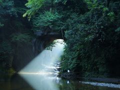 わっしーさんの濃溝の滝への投稿写真4