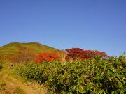 cocoさんの三本槍岳の投稿写真1