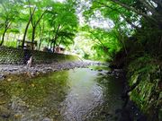 Woodyさんの平野田休養村の投稿写真1