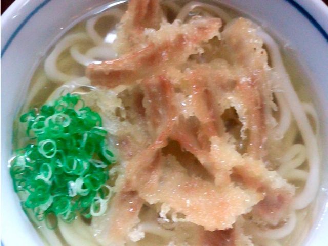 ごぼ天うどん_かろのうろん