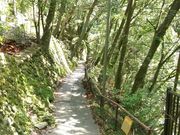 さくらちゃんさんの鳩ノ巣渓谷の投稿写真1