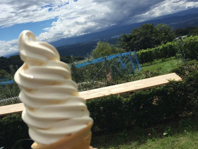 生チーズソフトと景色_アトリエ・ド・フロマージュ