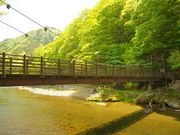 cocoさんの塩原渓谷歩道の投稿写真1