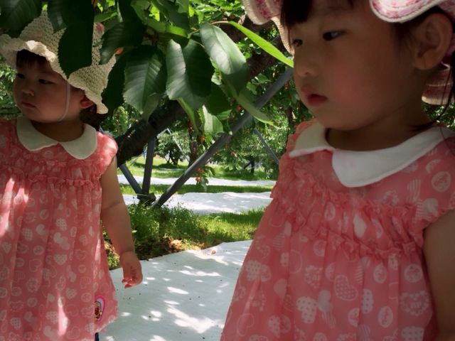 1歳と2歳!_さくらん坊やの鈴木さくらんぼ園