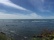 とーしゃさんのドライブインあさり浜の投稿写真3