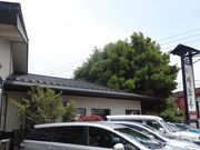 キヨさんの明治亭 駒ヶ根本店の投稿写真2