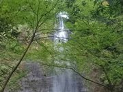 sakkyさんの清滝(大分県竹田市)の投稿写真1