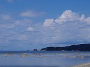 まりもさんの鵜ノ崎海岸の投稿写真1