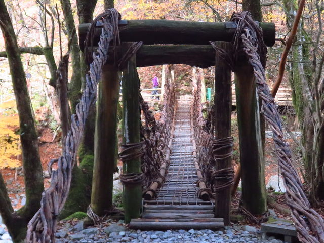 女橋_奥祖谷二重かずら橋
