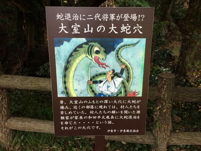 大きな穴があります。_さくらの里のさくら