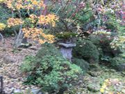 チャコさんの岩松院の投稿写真1