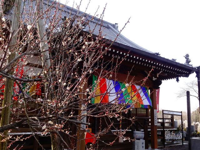 真福寺_真福寺