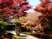 しどーさんの相国寺承天閣美術館の投稿写真1