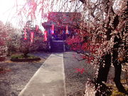 しどーさんの真福寺の投稿写真2