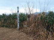 クリス・M・Sさんの鼻高山の投稿写真1