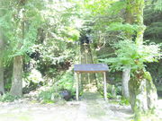 やまゆきさんの修禅寺奥の院の投稿写真1