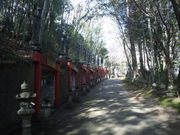 チロ吉さんの風天洞の投稿写真1