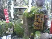 チロ吉さんの風天洞の投稿写真3