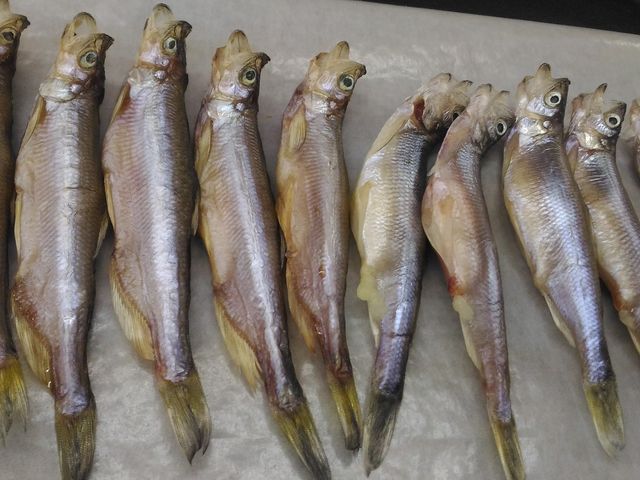 店先で購入したししゃも(雄雌混合)_カネダイ大野商店